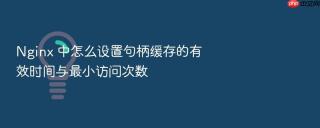 nginx 中怎么设置句柄缓存的有效时间与最小访问次数
