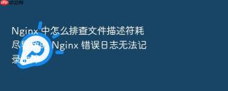 nginx 中怎么排查文件描述符耗尽导致的 nginx 错误日志无法记录故障