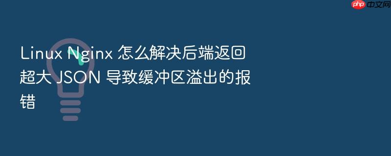 linux nginx 怎么解决后端返回超大 json 导致缓冲区溢出的报错