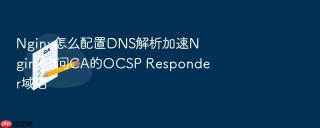 Nginx怎么配置DNS解析加速Nginx访问CA的OCSP Responder域名