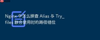 nginx 中怎么排查 alias 与 try_files 联合使用时的路径错位