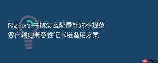 nginx证书链怎么配置针对不规范客户端的兼容性证书链备用方案