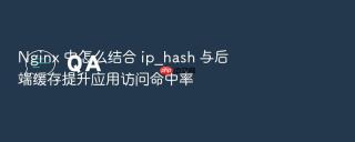 nginx 中怎么结合 ip_hash 与后端缓存提升应用访问命中率