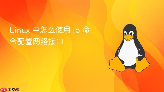 linux 中怎么使用 ip 命令配置网络接口