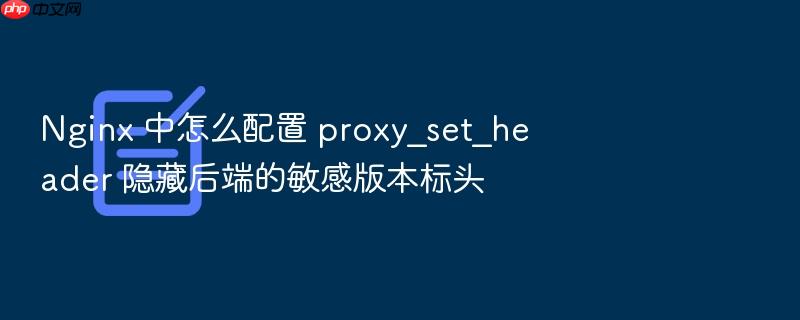 nginx 中怎么配置 proxy_set_header 隐藏后端的敏感版本标头