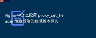 nginx 中怎么配置 proxy_set_header 隐藏后端的敏感版本标头
