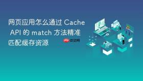 网页应用怎么通过 Cache API 的 match 方法精准匹配缓存资源