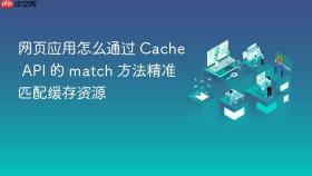 网页应用怎么通过 cache api 的 match 方法精准匹配缓存资源