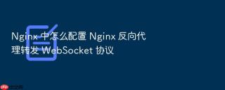nginx 中怎么配置 nginx 反向代理转发 websocket 协议