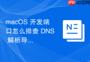 macOS 开发端口怎么排查 DNS 解析导致的端口阻塞