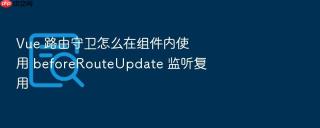 vue 路由守卫怎么在组件内使用 beforerouteupdate 监听复用