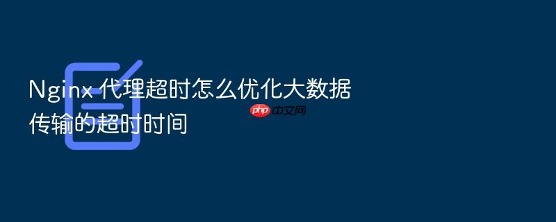 nginx 代理超时怎么优化大数据传输的超时时间