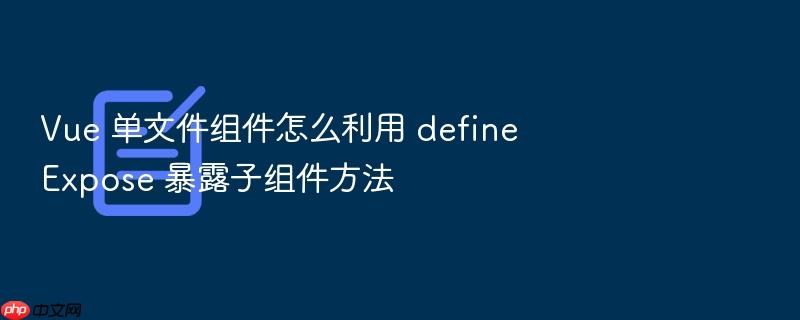 vue 单文件组件怎么利用 defineexpose 暴露子组件方法