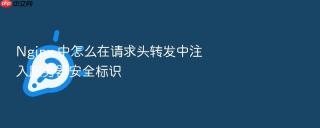 nginx 中怎么在请求头转发中注入服务器安全标识