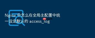 nginx 中怎么在全局主配置中统一设定默认的 access_log