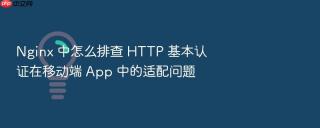 nginx 中怎么排查 http 基本认证在移动端 app 中的适配问题