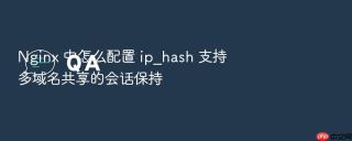 nginx 中怎么配置 ip_hash 支持多域名共享的会话保持