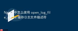 nginx 中怎么使用 open_log_file_cache 缓存日志文件描述符
