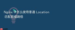 nginx 中怎么使用普通 location 匹配前缀路径