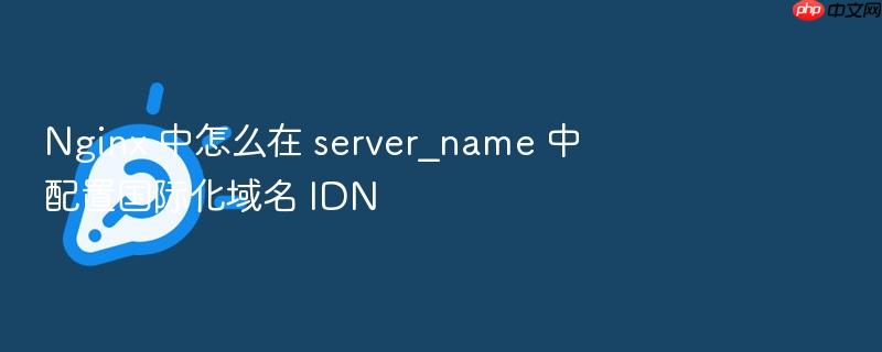 nginx 中怎么在 server_name 中配置国际化域名 idn