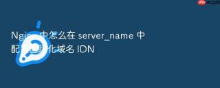 nginx 中怎么在 server_name 中配置国际化域名 idn