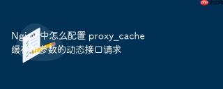 nginx 中怎么配置 proxy_cache 缓存带参数的动态接口请求