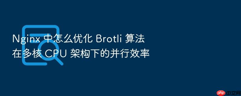 nginx 中怎么优化 brotli 算法在多核 cpu 架构下的并行效率