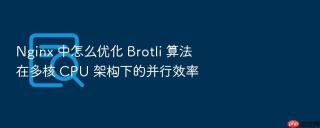 nginx 中怎么优化 brotli 算法在多核 cpu 架构下的并行效率