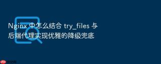 Nginx 中怎么结合 try_files 与后端代理实现优雅的降级兜底