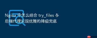 nginx 中怎么结合 try_files 与后端代理实现优雅的降级兜底