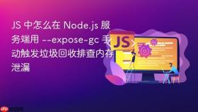js 中怎么在 node.js 服务端用 --expose-gc 手动触发垃圾回收排查内存泄漏