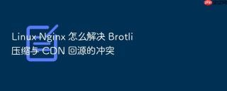 linux nginx 怎么解决 brotli 压缩与 cdn 回源的冲突
