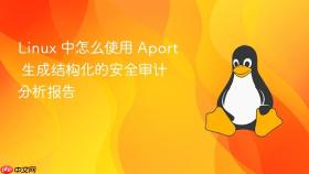 linux 中怎么使用 aport 生成结构化的安全审计分析报告