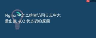 nginx 中怎么排查访问日志中大量出现 403 状态码的原因
