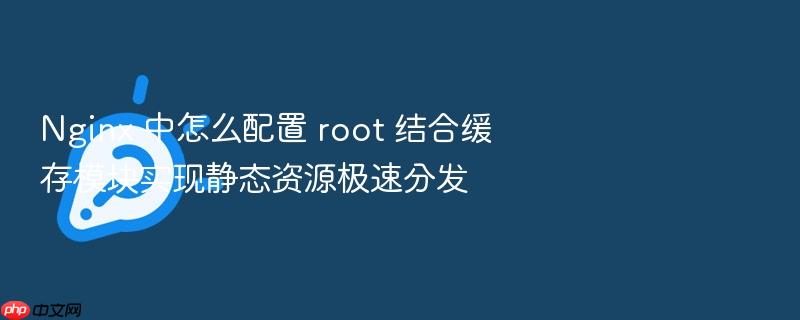 nginx 中怎么配置 root 结合缓存模块实现静态资源极速分发