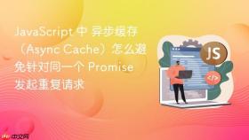 javascript 中 异步缓存（async cache）怎么避免针对同一个 promise 发起重复请求
