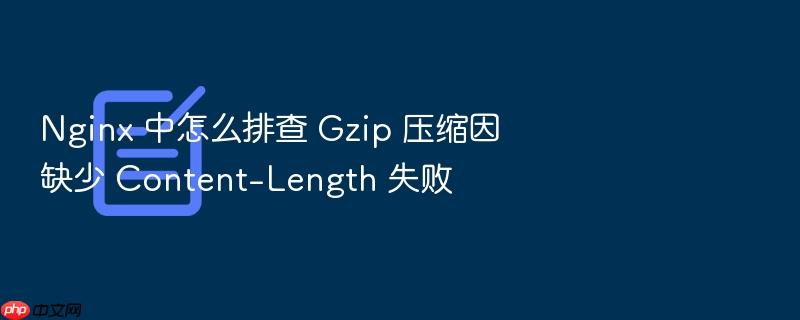 nginx 中怎么排查 gzip 压缩因缺少 content-length 失败