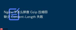 nginx 中怎么排查 gzip 压缩因缺少 content-length 失败