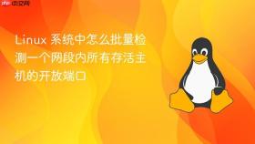 linux 系统中怎么批量检测一个网段内所有存活主机的开放端口