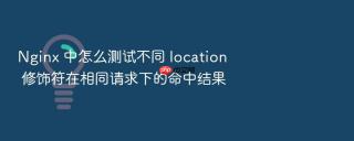 Nginx 中怎么测试不同 location 修饰符在相同请求下的命中结果