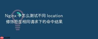 nginx 中怎么测试不同 location 修饰符在相同请求下的命中结果