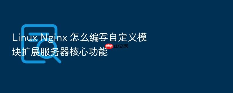 linux nginx 怎么编写自定义模块扩展服务器核心功能