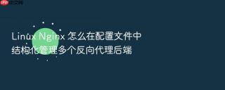 Linux Nginx 怎么在配置文件中结构化管理多个反向代理后端