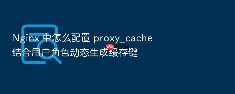nginx 中怎么配置 proxy_cache 结合用户角色动态生成缓存键