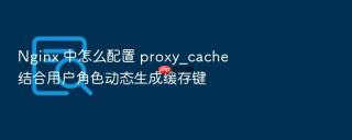 nginx 中怎么配置 proxy_cache 结合用户角色动态生成缓存键