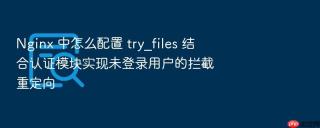 nginx 中怎么配置 try_files 结合认证模块实现未登录用户的拦截重定向