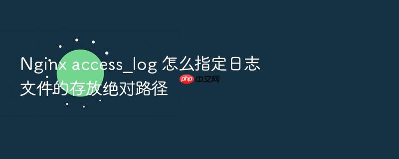 nginx access_log 怎么指定日志文件的存放绝对路径