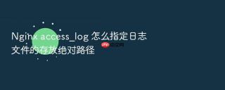nginx access_log 怎么指定日志文件的存放绝对路径