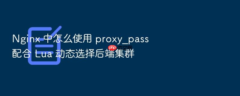 nginx 中怎么使用 proxy_pass 配合 lua 动态选择后端集群