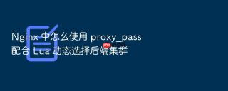 nginx 中怎么使用 proxy_pass 配合 lua 动态选择后端集群